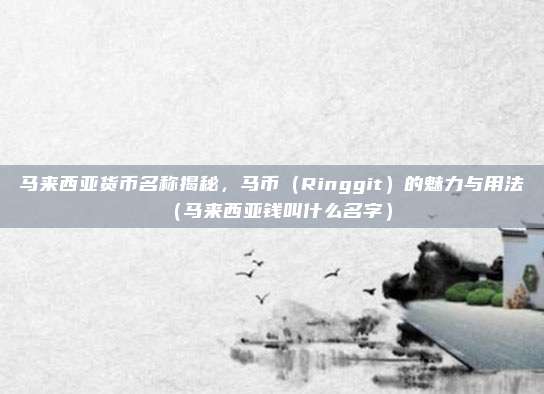 马来西亚货币名称揭秘,马币(Ringgit)的魅力与用法(马来西亚钱叫什么名字)