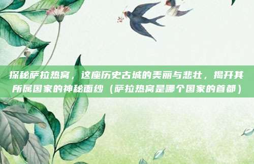 探秘萨拉热窝,这座历史古城的美丽与悲壮,揭开其所属国家的神秘面纱(萨拉热窝是哪个国家的首都)