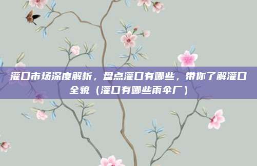 灌口市场深度解析,盘点灌口有哪些,带你了解灌口全貌(灌口有哪些雨伞厂)