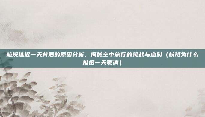 航班推迟一天背后的原因分析,揭秘空中旅行的挑战与应对(航班为什么推迟一天取消)