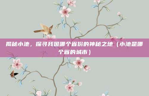 揭秘小池,探寻我国哪个省份的神秘之地(小池是哪个省的城市)