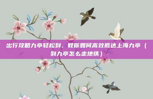 出行攻略九亭轻松到,教你如何高效抵达上海九亭(到九亭怎么走地铁)
