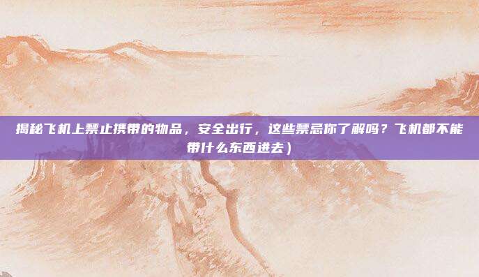 揭秘飞机上禁止携带的物品,安全出行,这些禁忌你了解吗?飞机都不能带什么东西进去)