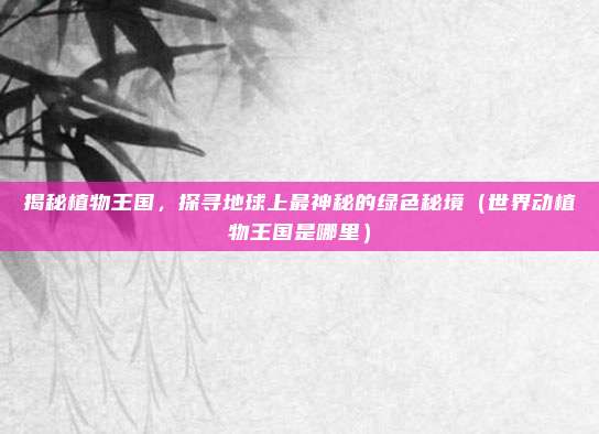 揭秘植物王国,探寻地球上最神秘的绿色秘境(世界动植物王国是哪里)