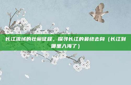 长江流域的壮丽征程,探寻长江的最终去向(长江到哪里入海了)