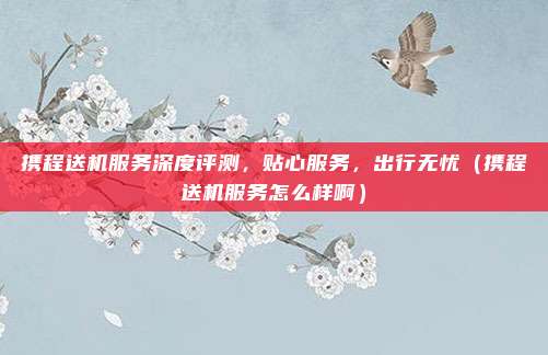 携程送机服务深度评测,贴心服务,出行无忧(携程送机服务怎么样啊)