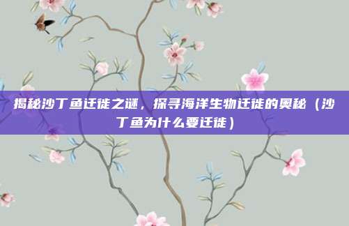 揭秘沙丁鱼迁徙之谜,探寻海洋生物迁徙的奥秘(沙丁鱼为什么要迁徙)