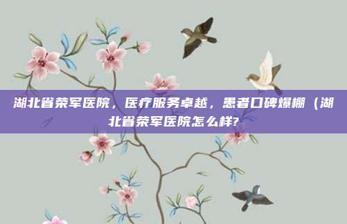 湖北省荣军医院,医疗服务卓越,患者口碑爆棚(湖北省荣军医院怎么样?