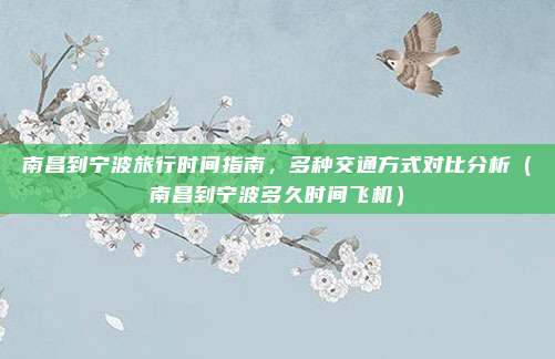 南昌到宁波旅行时间指南,多种交通方式对比分析(南昌到宁波多久时间飞机)