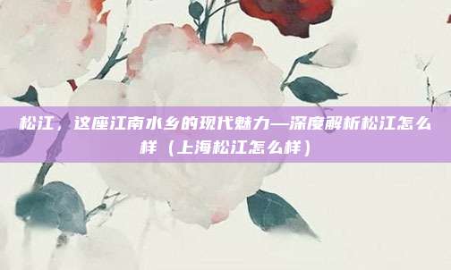 松江,这座江南水乡的现代魅力—深度解析松江怎么样(上海松江怎么样)