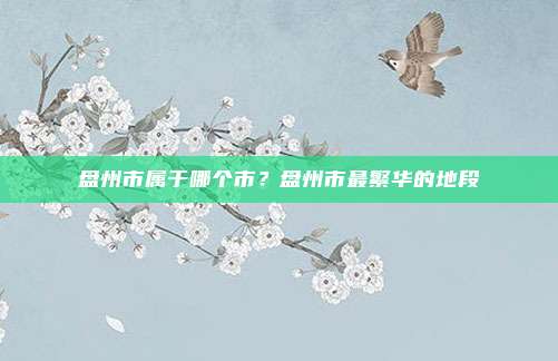 盘州市属于哪个市?盘州市最繁华的地段