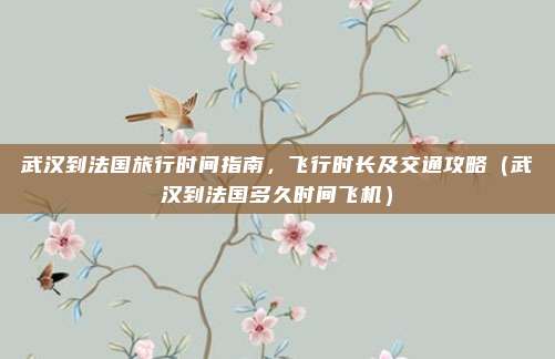 武汉到法国旅行时间指南,飞行时长及交通攻略(武汉到法国多久时间飞机)