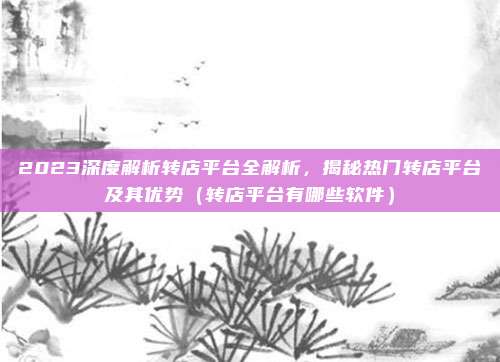 2023深度解析转店平台全解析,揭秘热门转店平台及其优势(转店平台有哪些软件)