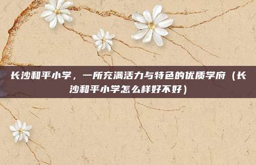 长沙和平小学,一所充满活力与特色的优质学府(长沙和平小学怎么样好不好)