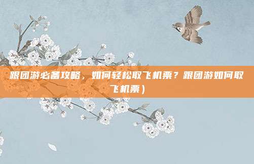 跟团游必备攻略,如何轻松取飞机票?跟团游如何取飞机票)