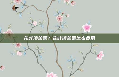 花叶滇苦菜？花叶滇苦菜怎么食用