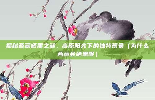 揭秘西藏晒黑之谜,高原阳光下的独特现象(为什么西藏会晒黑呢)