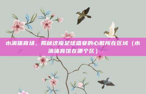 水滴体育场,揭秘这座足球盛宴的心脏所在区域(水滴体育馆在哪个区)