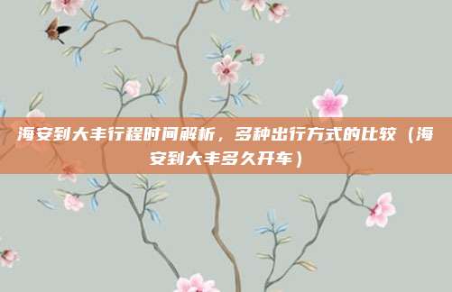 海安到大丰行程时间解析,多种出行方式的比较(海安到大丰多久开车)