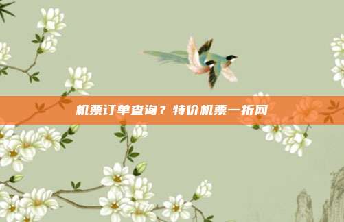 机票订单查询?特价机票一折网