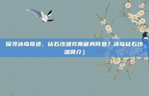 探寻冰岛奇迹,钻石沙滩究竟藏身何处?冰岛钻石沙滩简介)