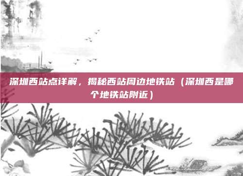 深圳西站点详解,揭秘西站周边地铁站(深圳西是哪个地铁站附近)