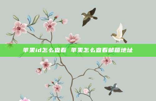 苹果id怎么查看 苹果怎么查看邮箱地址