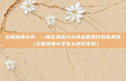 无锡靖海小学,一所充满活力与特色的现代教育典范(无锡靖海小学怎么样好不好)