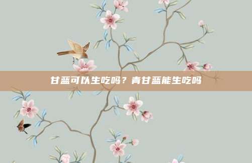 甘蓝可以生吃吗?青甘蓝能生吃吗