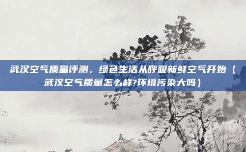 武汉空气质量评测,绿色生活从呼吸新鲜空气开始(武汉空气质量怎么样?环境污染大吗)
