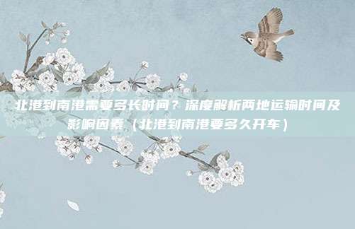 北港到南港需要多长时间?深度解析两地运输时间及影响因素(北港到南港要多久开车)