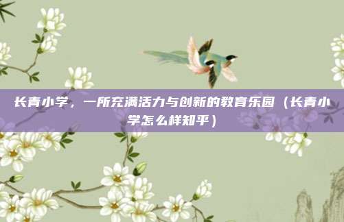 长青小学,一所充满活力与创新的教育乐园(长青小学怎么样知乎)