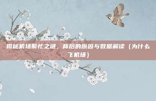 揭秘机场繁忙之谜,背后的原因与数据解读(为什么飞机场)