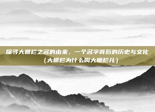 探寻大栅栏之名的由来,一个名字背后的历史与文化(大栅栏为什么叫大栅栏儿)