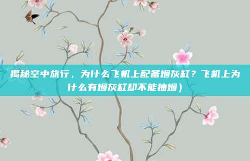 揭秘空中旅行,为什么飞机上配备烟灰缸?飞机上为什么有烟灰缸却不能抽烟)
