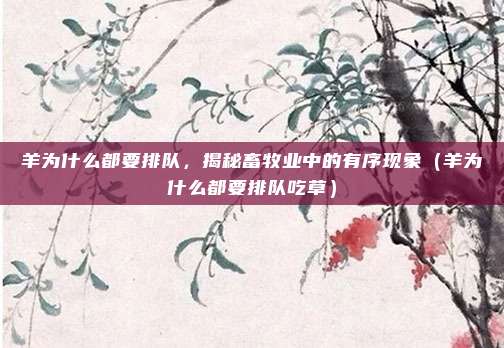 羊为什么都要排队,揭秘畜牧业中的有序现象(羊为什么都要排队吃草)