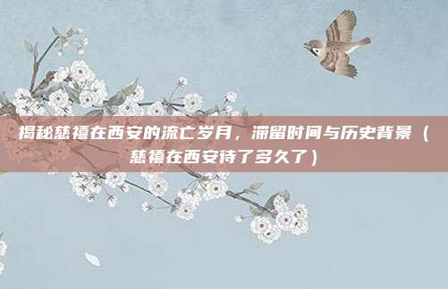 揭秘慈禧在西安的流亡岁月,滞留时间与历史背景(慈禧在西安待了多久了)