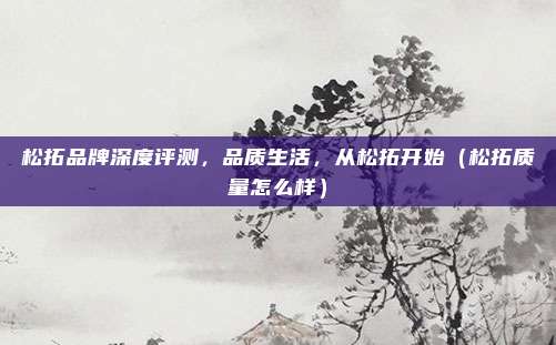 松拓品牌深度评测,品质生活,从松拓开始(松拓质量怎么样)