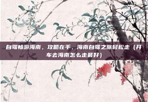 自驾畅游海南,攻略在手,海南自驾之旅轻松走(开车去海南怎么走最好)
