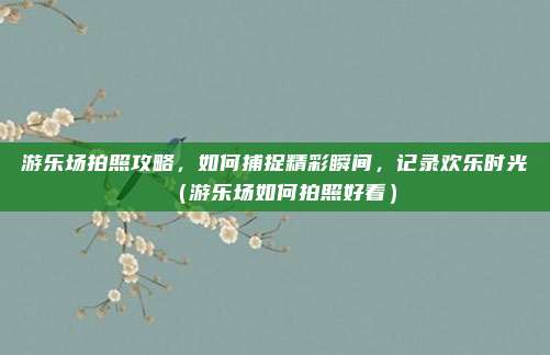 游乐场拍照攻略,如何捕捉精彩瞬间,记录欢乐时光(游乐场如何拍照好看)