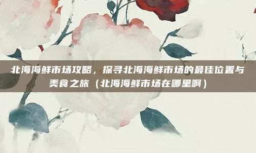 北海海鲜市场攻略,探寻北海海鲜市场的最佳位置与美食之旅(北海海鲜市场在哪里啊)