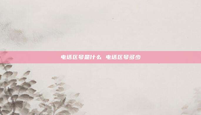 电话区号是什么 电话区号多少