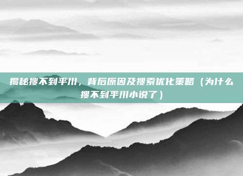 揭秘搜不到平川,背后原因及搜索优化策略(为什么搜不到平川小说了)