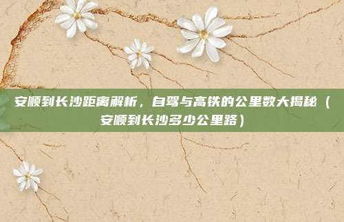 安顺到长沙距离解析,自驾与高铁的公里数大揭秘(安顺到长沙多少公里路)