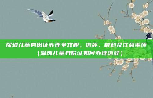 深圳儿童身份证办理全攻略,流程、材料及注意事项(深圳儿童身份证如何办理流程)