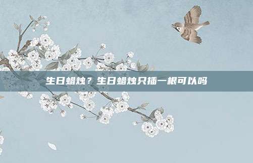 生日蜡烛？生日蜡烛只插一根可以吗