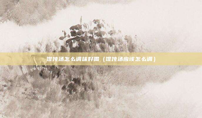馄饨汤怎么调味好喝（馄饨汤应该怎么调）