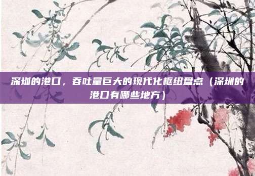 深圳的港口,吞吐量巨大的现代化枢纽盘点(深圳的港口有哪些地方)