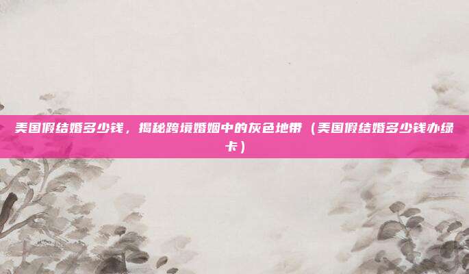 美国假结婚多少钱,揭秘跨境婚姻中的灰色地带(美国假结婚多少钱办绿卡)