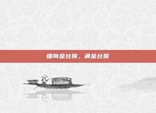 缅甸金丝猴,滇金丝猴